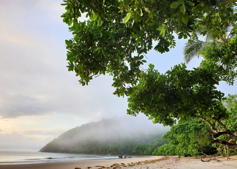 Mission Beach am Korallenmeer in Queensland