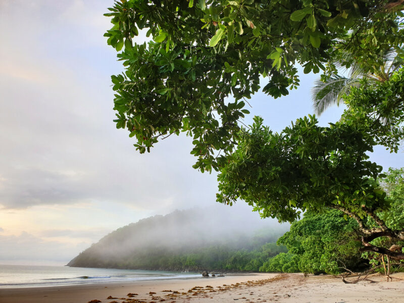 Mission Beach am Korallenmeer in Queensland