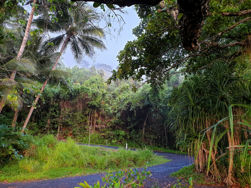 In der Nähe des kleinen Ortes Mission Beach in Queensland