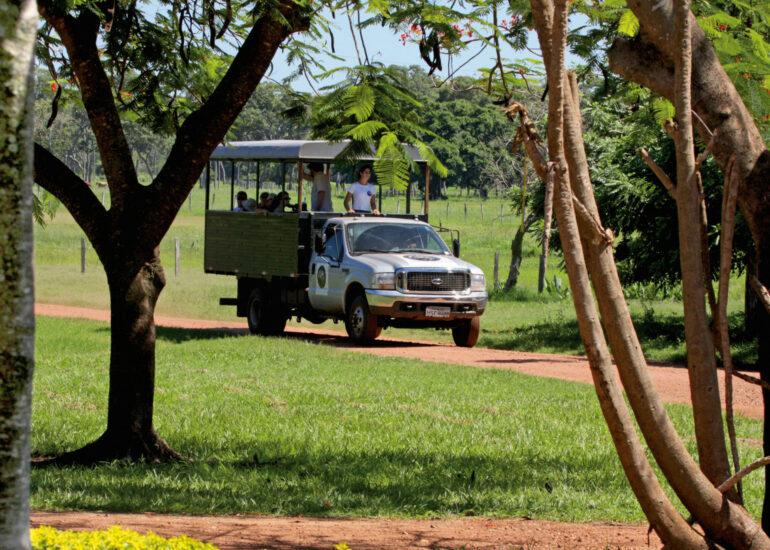 Auf Safari im Pantanal