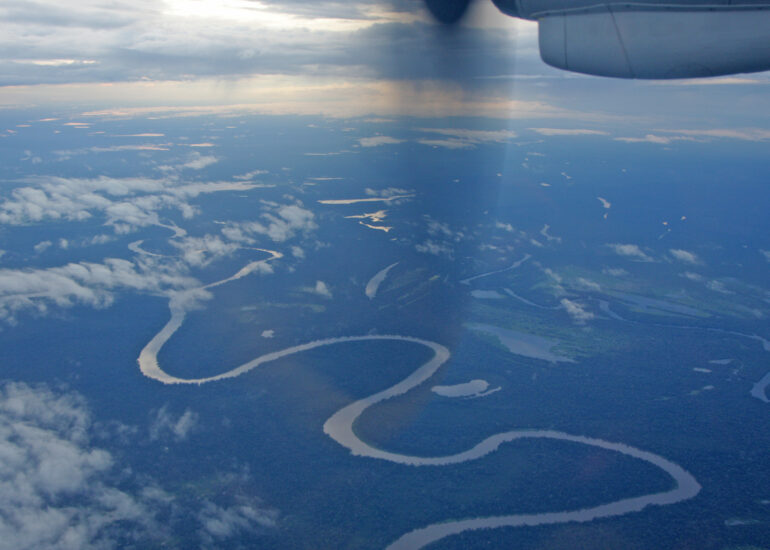Luftaufnahme Amazonas