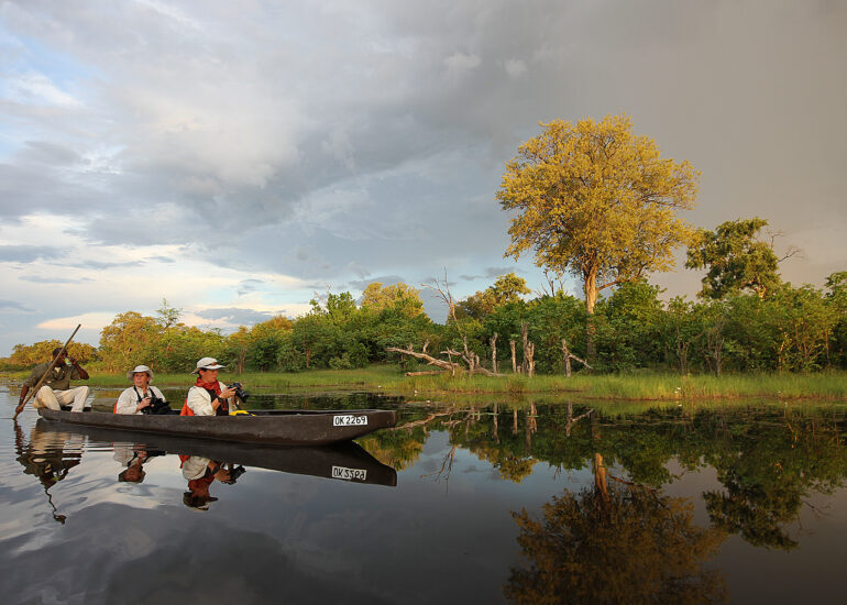 Labyrinth des Okavango