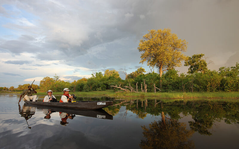 Labyrinth des Okavango