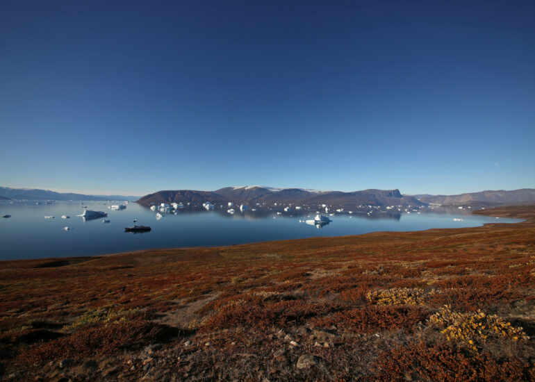 Tundra und Eisberge im Scoresby-Sund