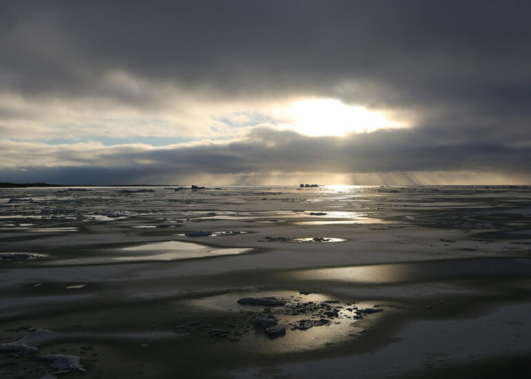 Zufrierende Fjorde im Oktober
