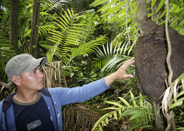 Naturkundliche Führung