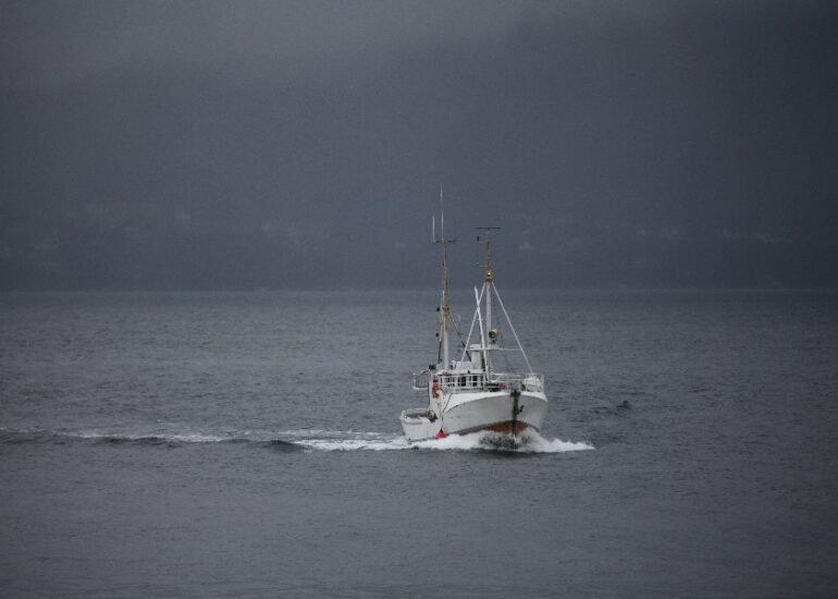 Schiff