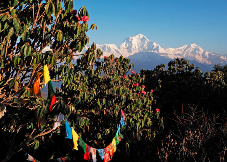Nepal 2023 - Kultur, Trekking und Safari
