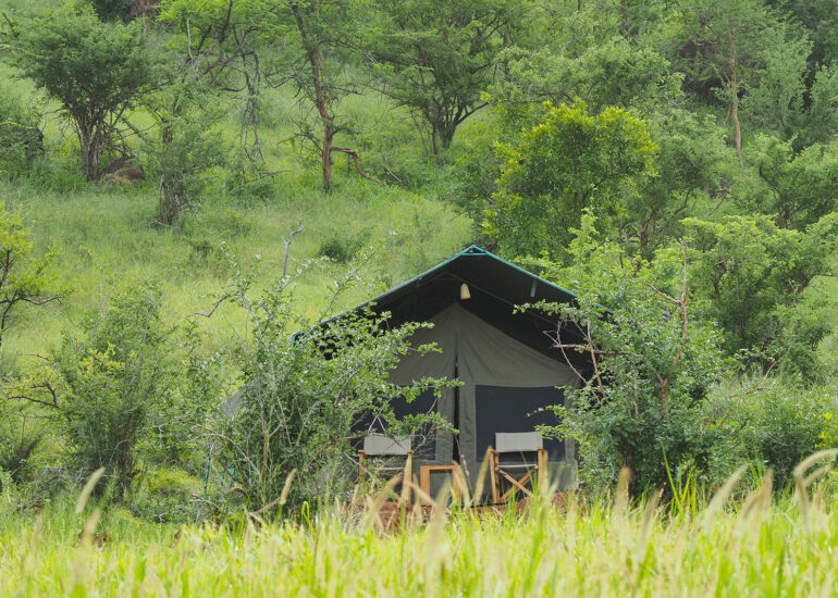 Tansania 2022- Wildnis-Wunder im Mkomazi Nationalpark