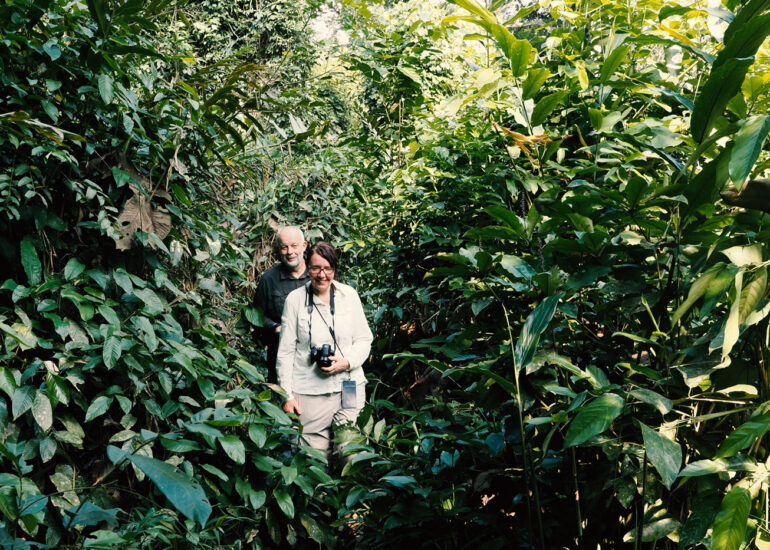 Bushwalk zu den Bonobos